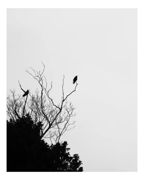Échappées, photographie de Noa Nøxen